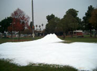 Snow-covered Field