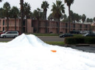 Front Lawn Covered In Snow